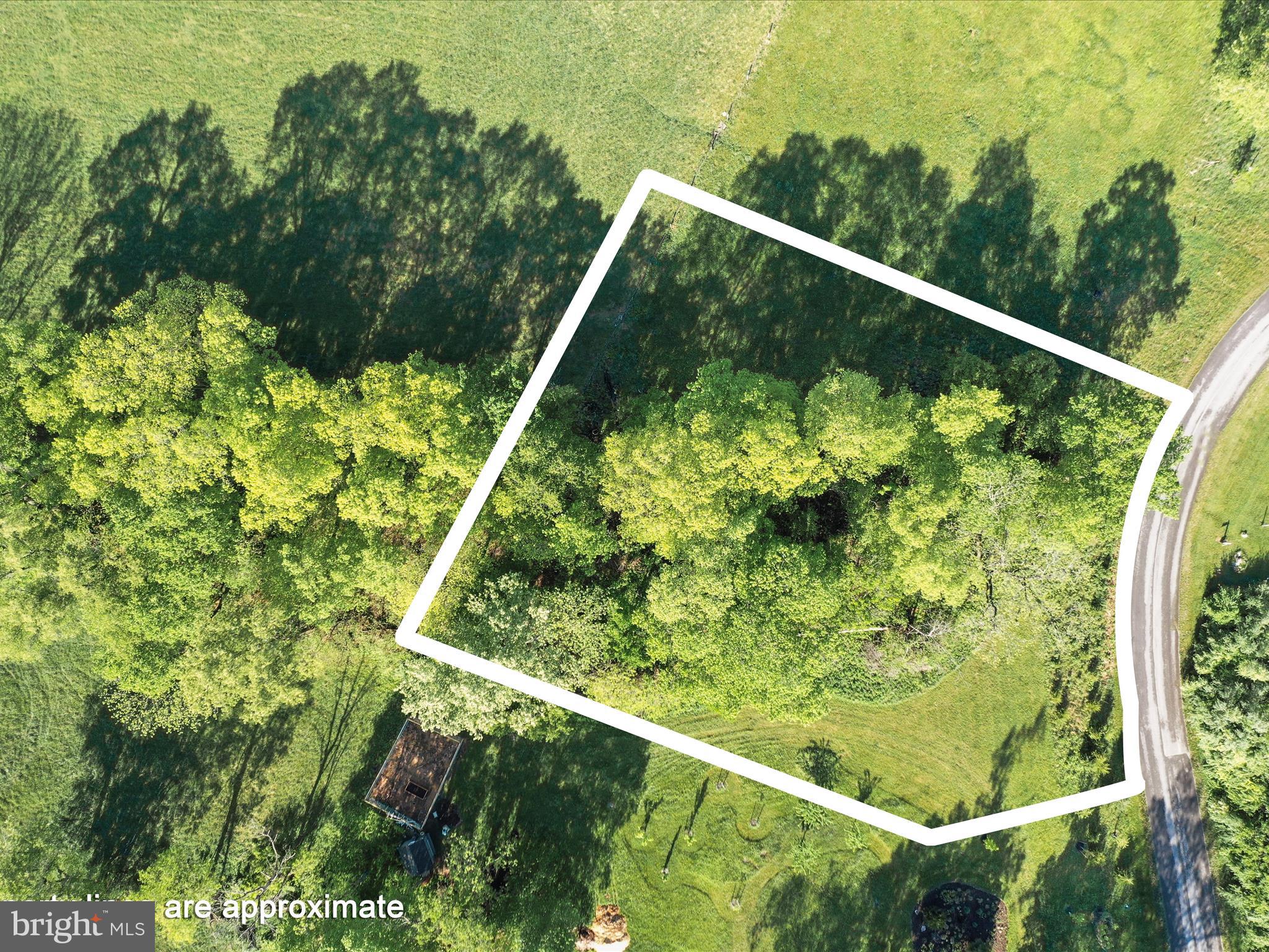 BRIAR MOUNTAIN DRIVE LOT 9