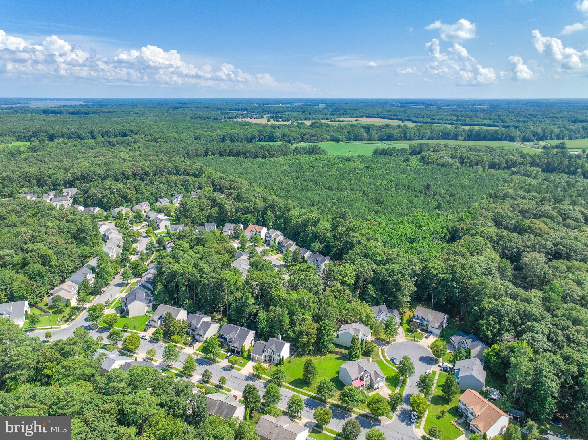 WOODS AT STONEY RIDGE - Residential