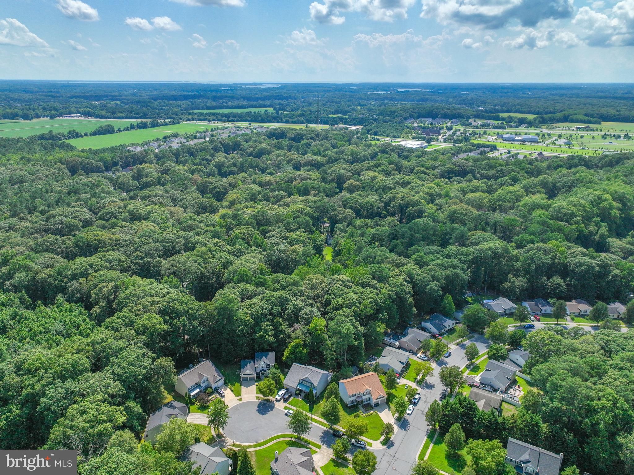 WOODS AT STONEY RIDGE - Residential