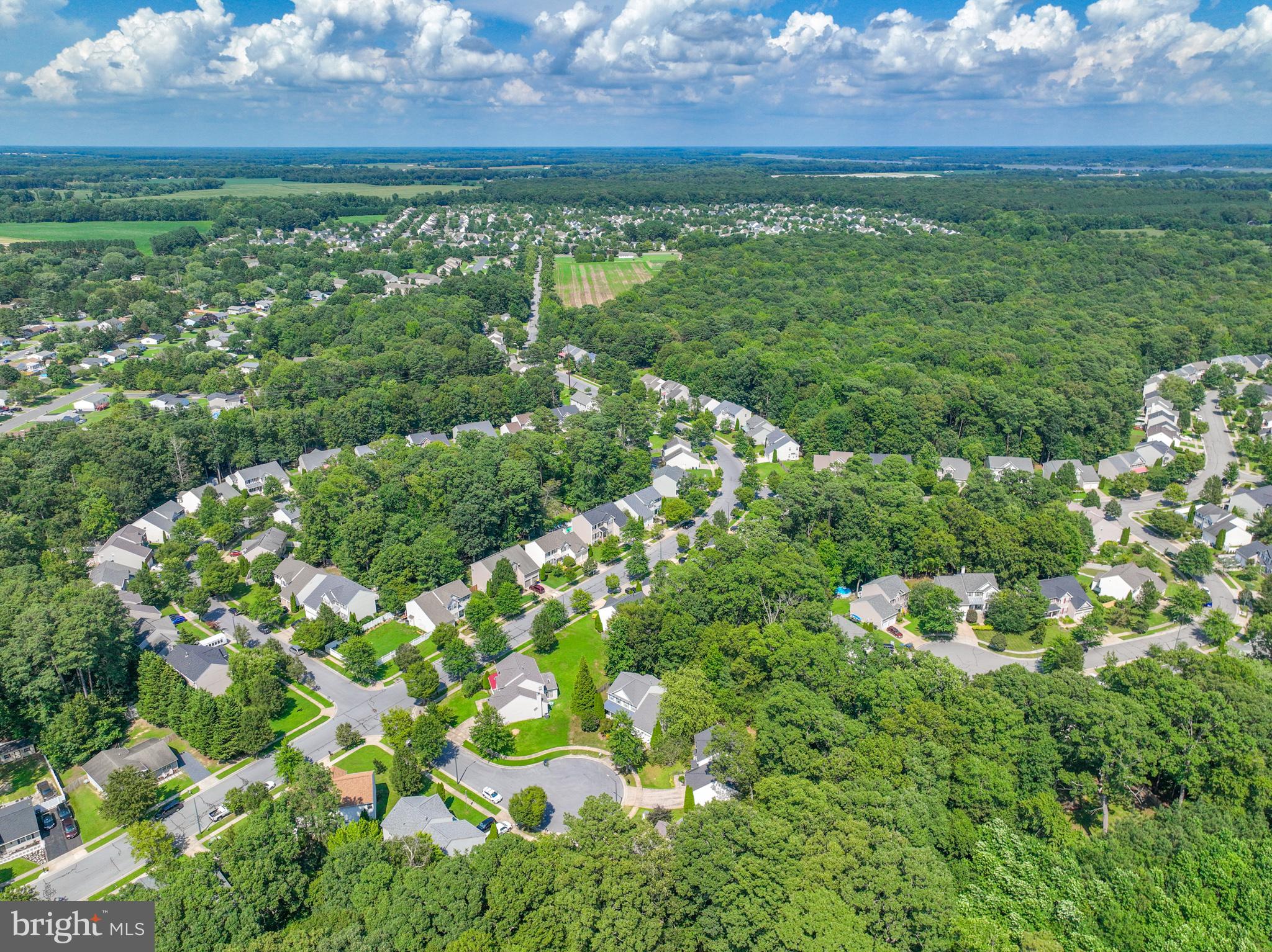 WOODS AT STONEY RIDGE - Residential