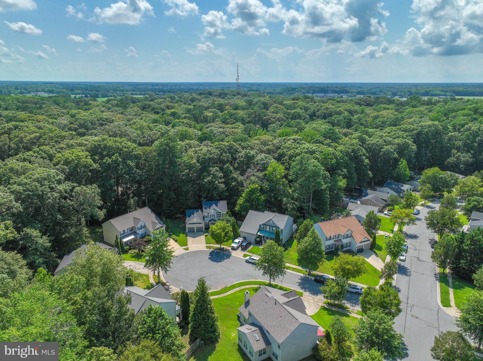 WOODS AT STONEY RIDGE - Residential