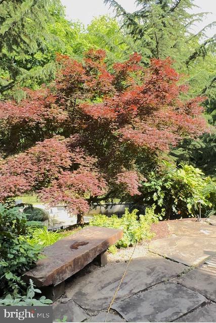 SADDLE RIDGE - Residential