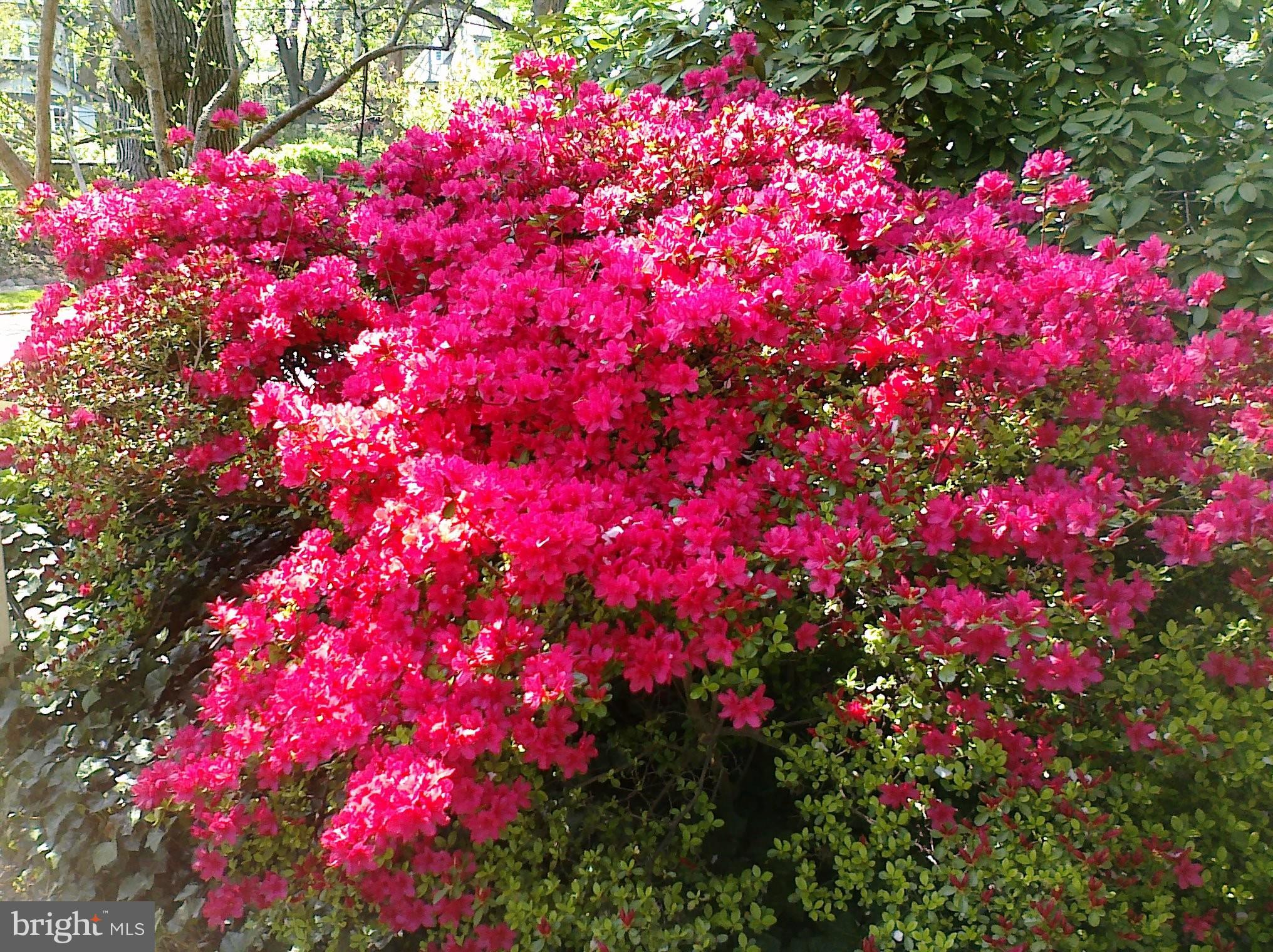 EAST FALLS - Residential