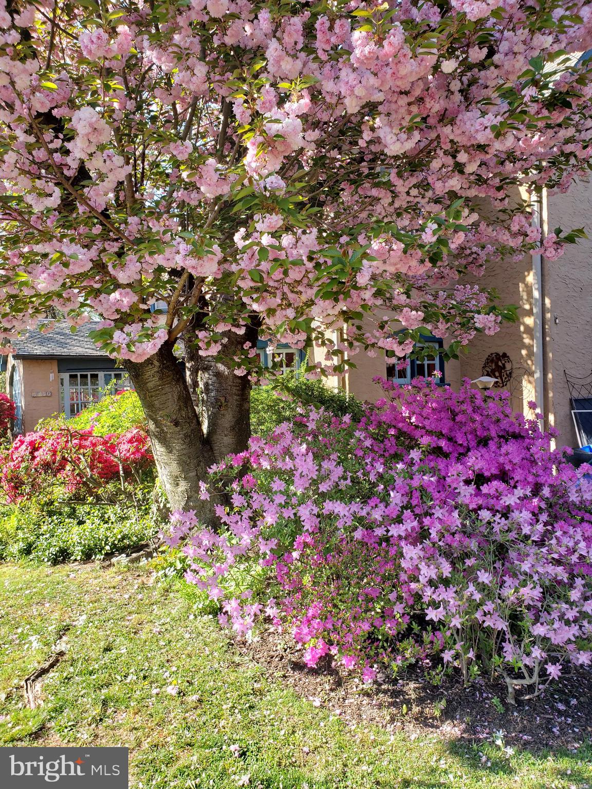 EAST FALLS - Residential