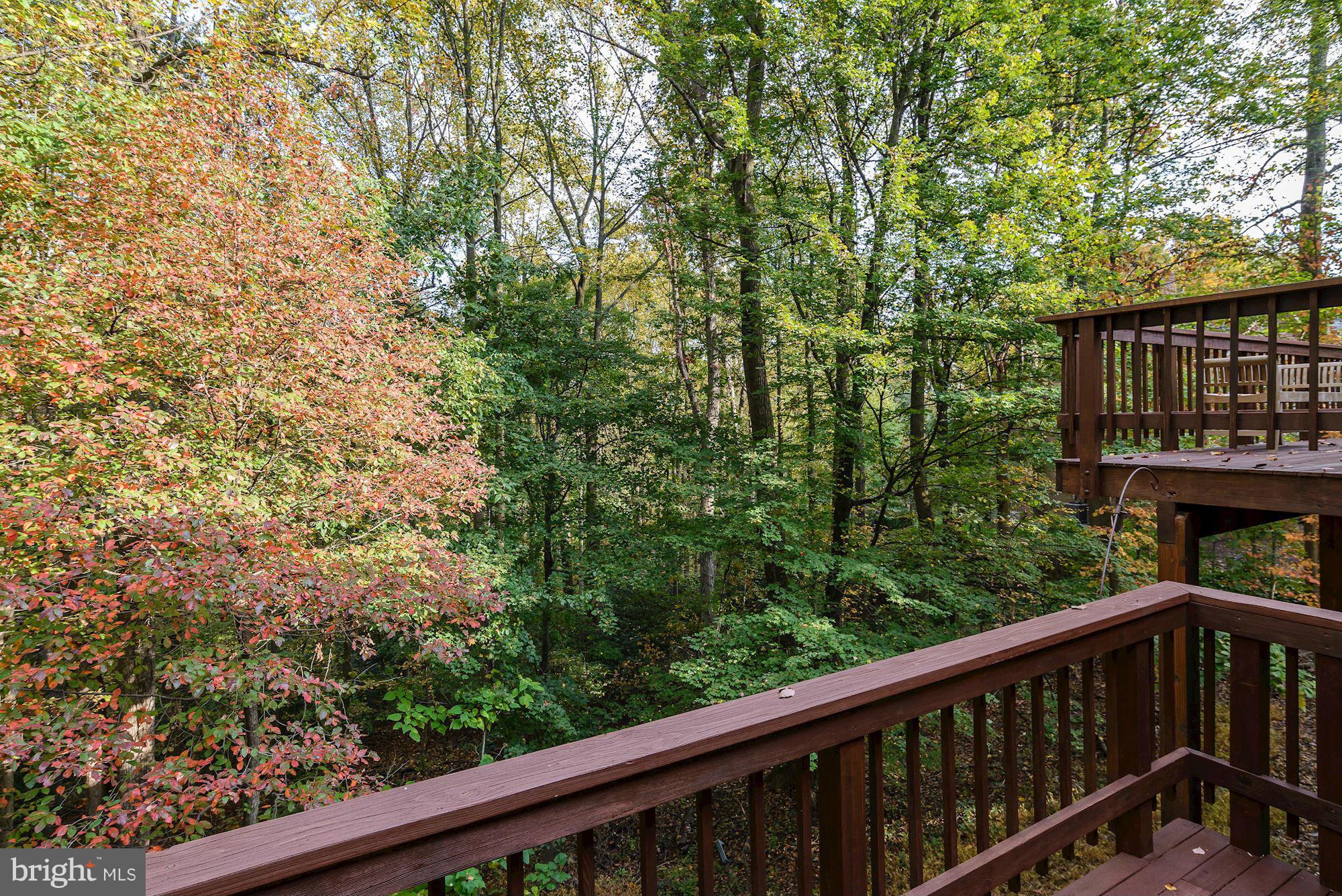 THE PALISADES - Residential