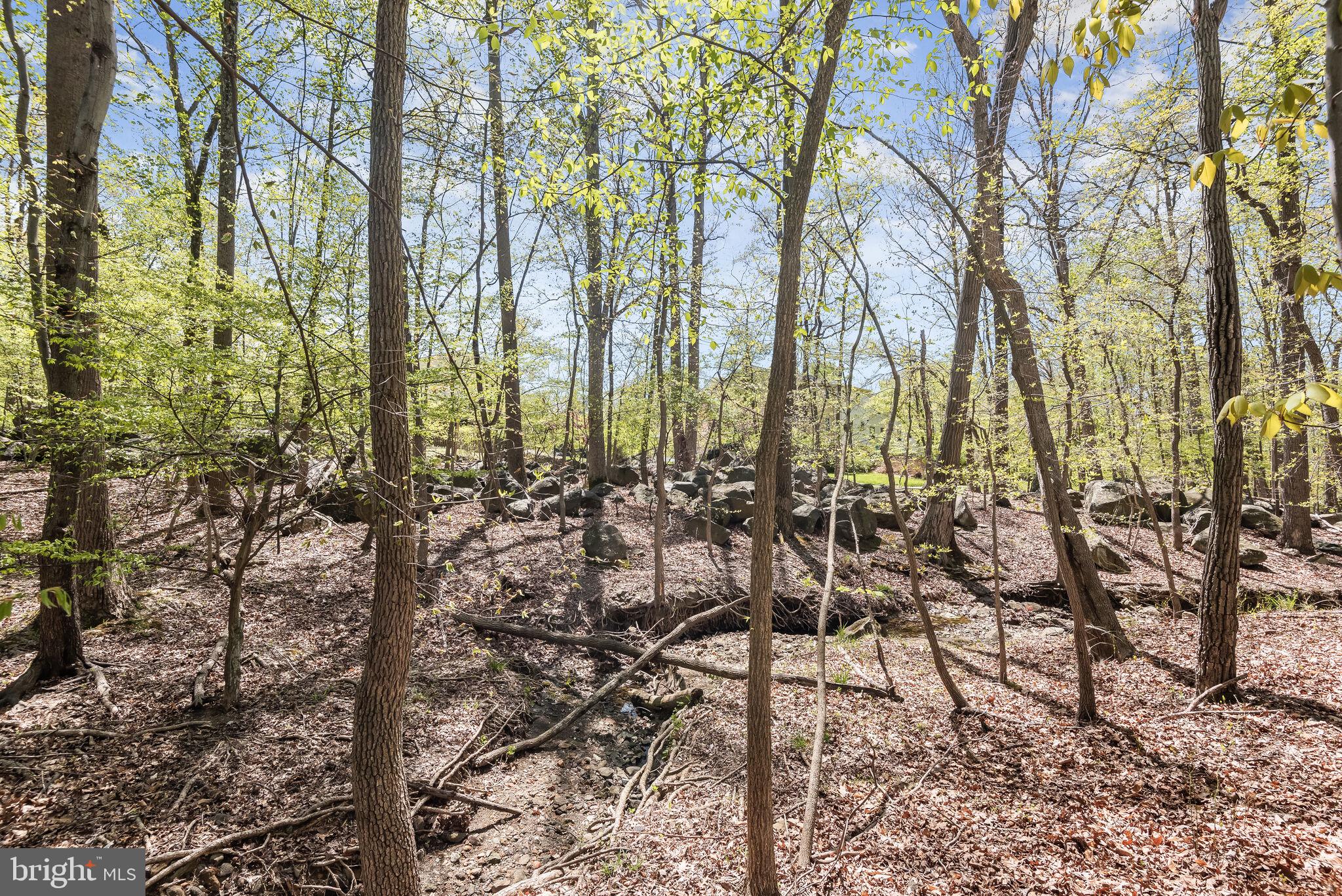 ELLICOTT MILLS - Residential