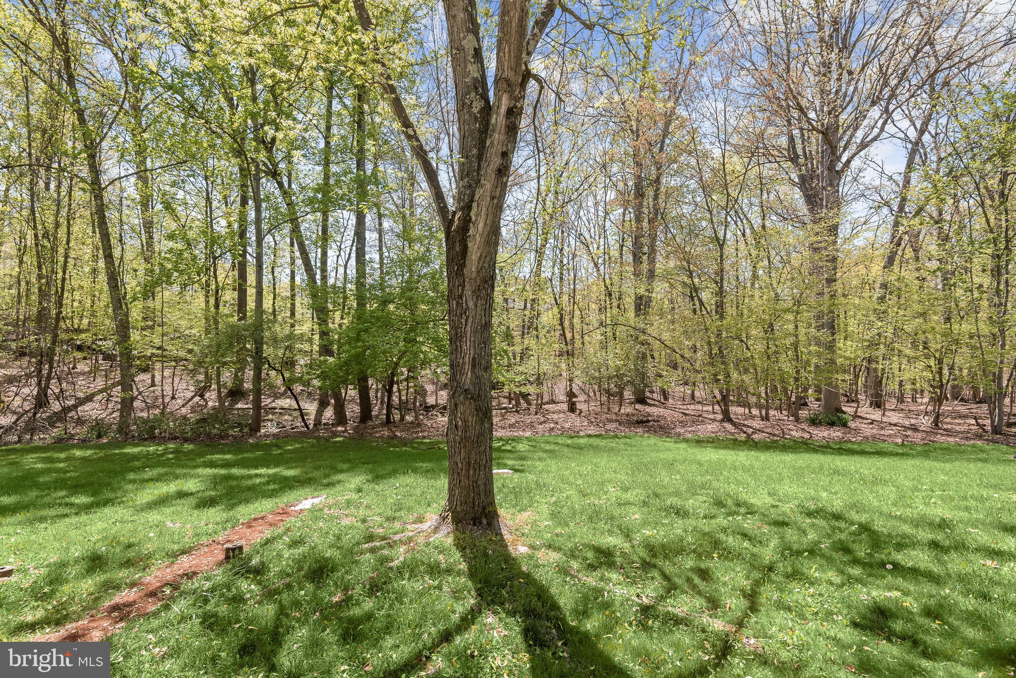 ELLICOTT MILLS - Residential