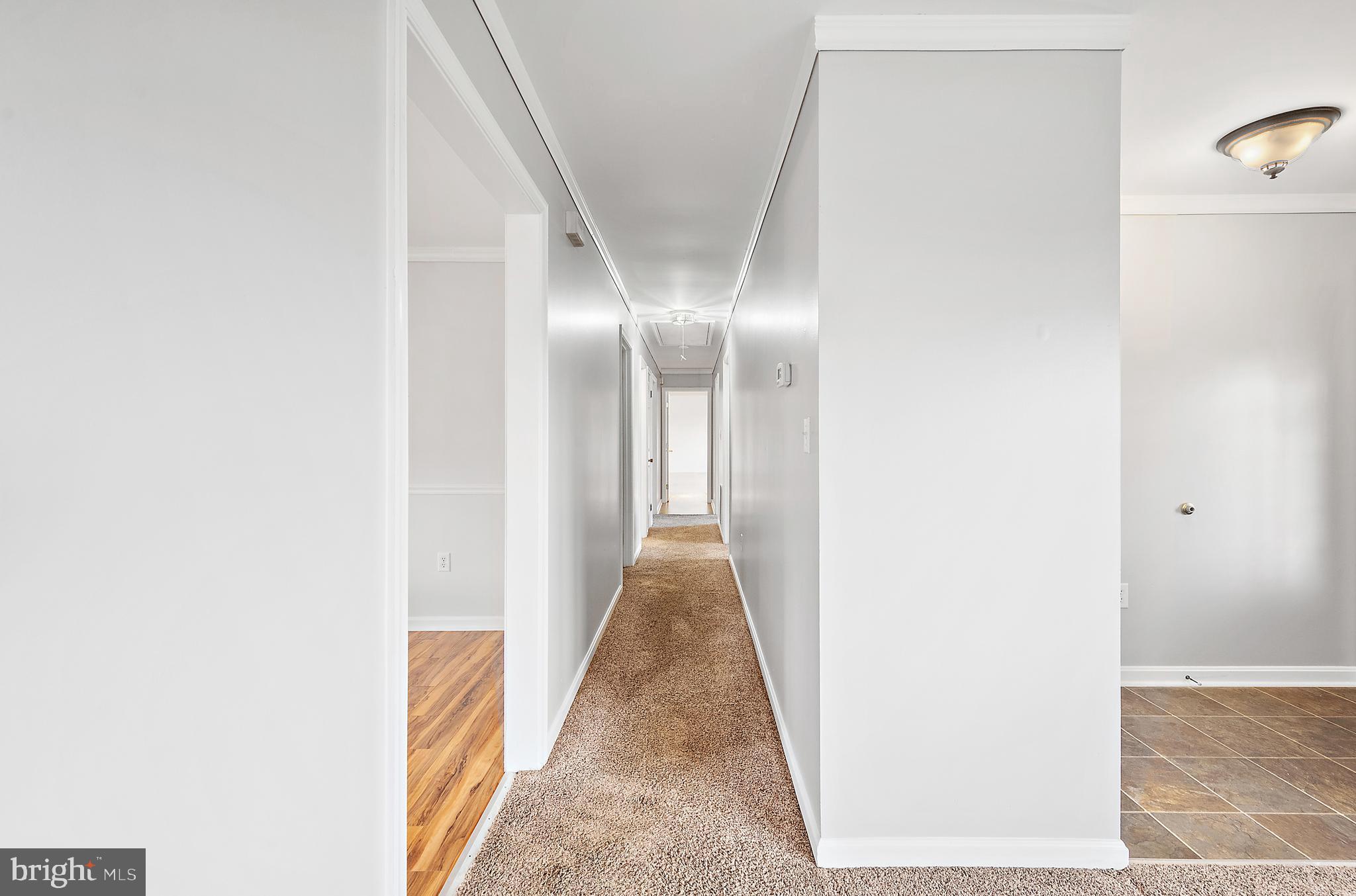 WESTERN FIELD - Residential