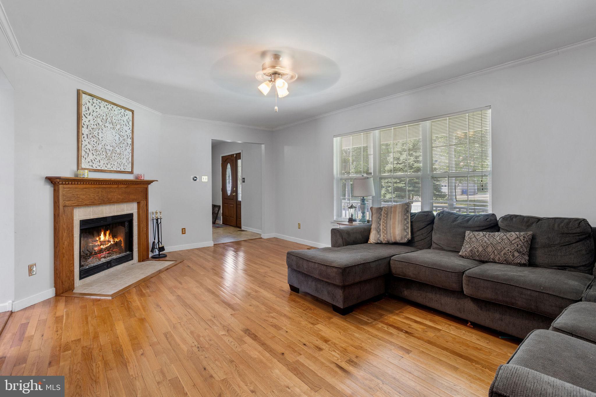 8 FIELD COURT