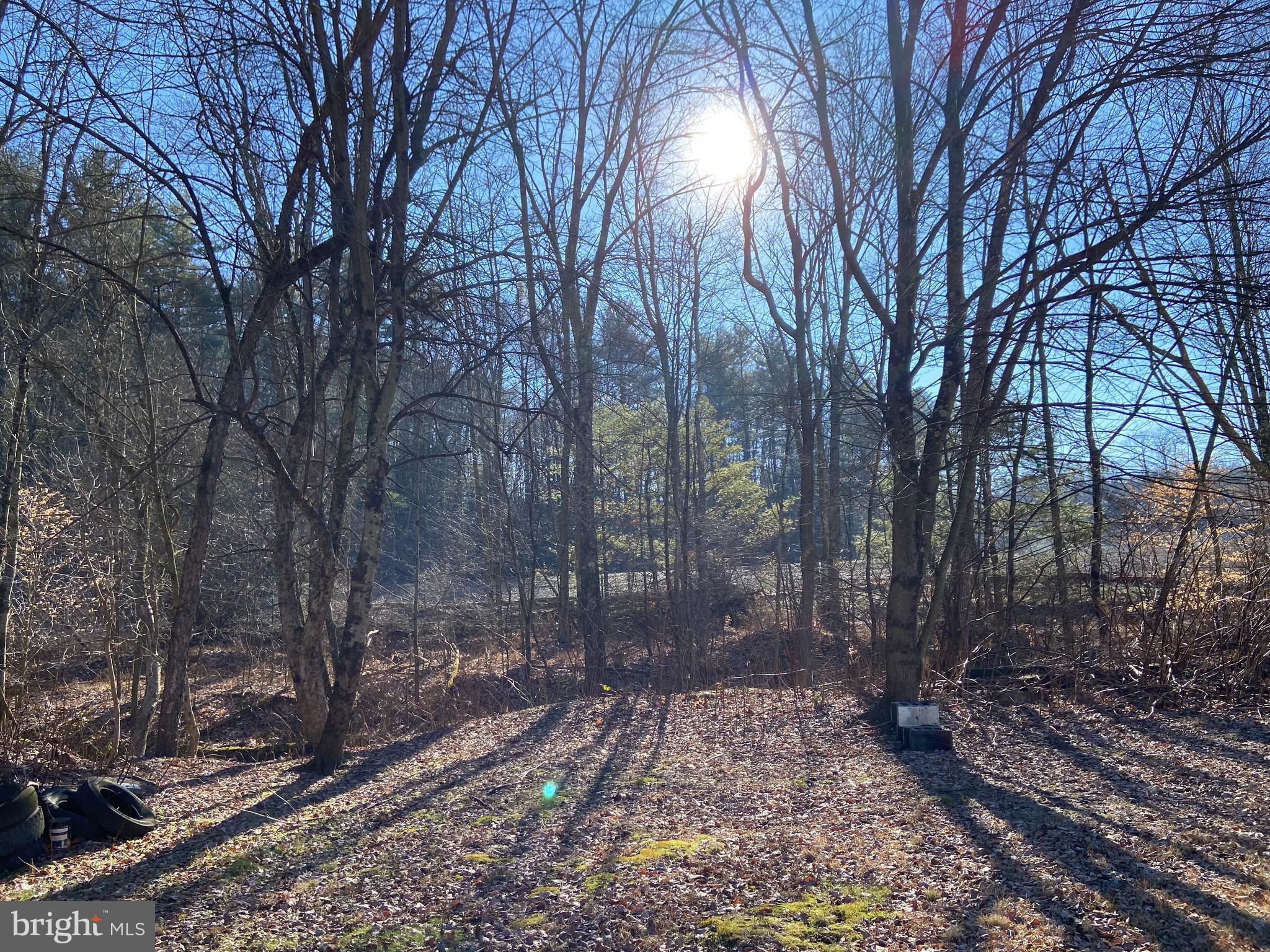 BRANCHDALE - Residential