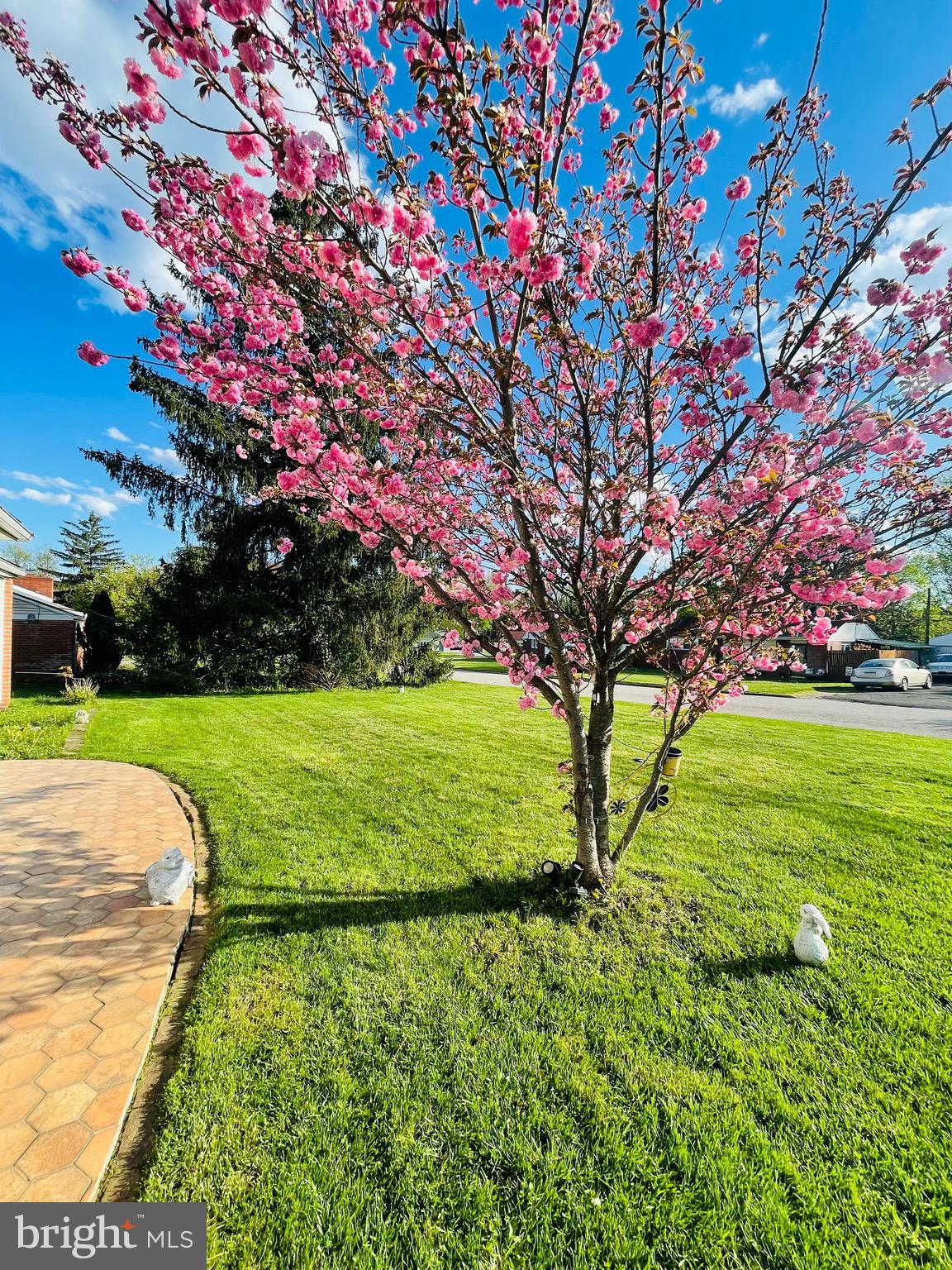 PLYMOUTH MEETING - Residential