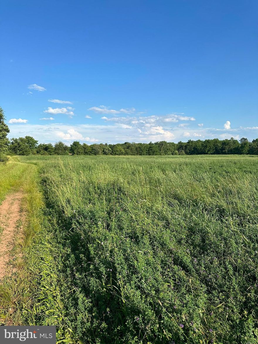 Bring your vision and make this expansive property your own!  This Property has all kinds of potential!  Build your Country Home with beautiful mountain views, your own pond and a stream running through the property!  A 3-bedroom perc has been verified by the listing agent as still honored by Frederick County.  A Natural Gas pipeline follows old Frederick Rd– Buyer to confirm tapping capabilities.