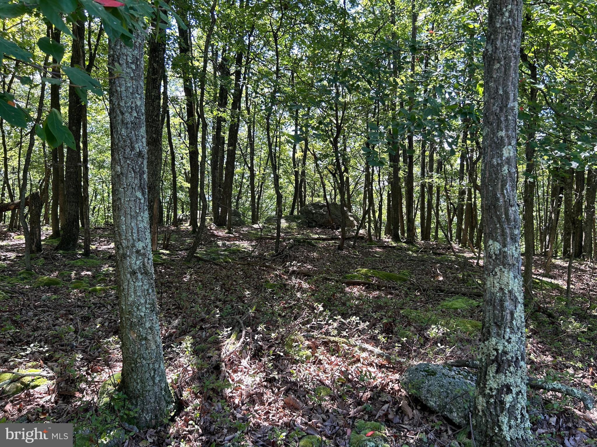 EAGLE ROCK RESORT - Land