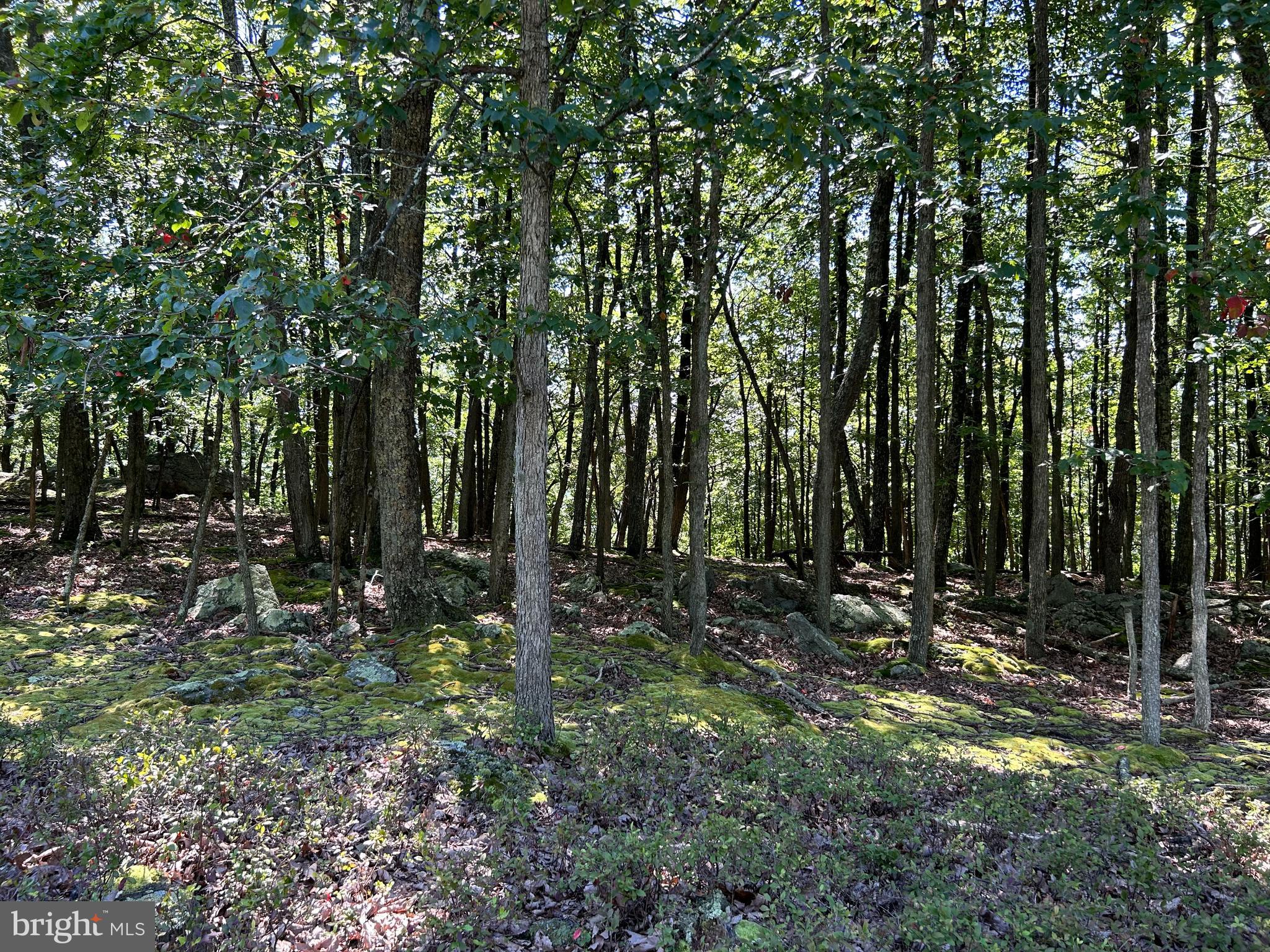 EAGLE ROCK RESORT - Land