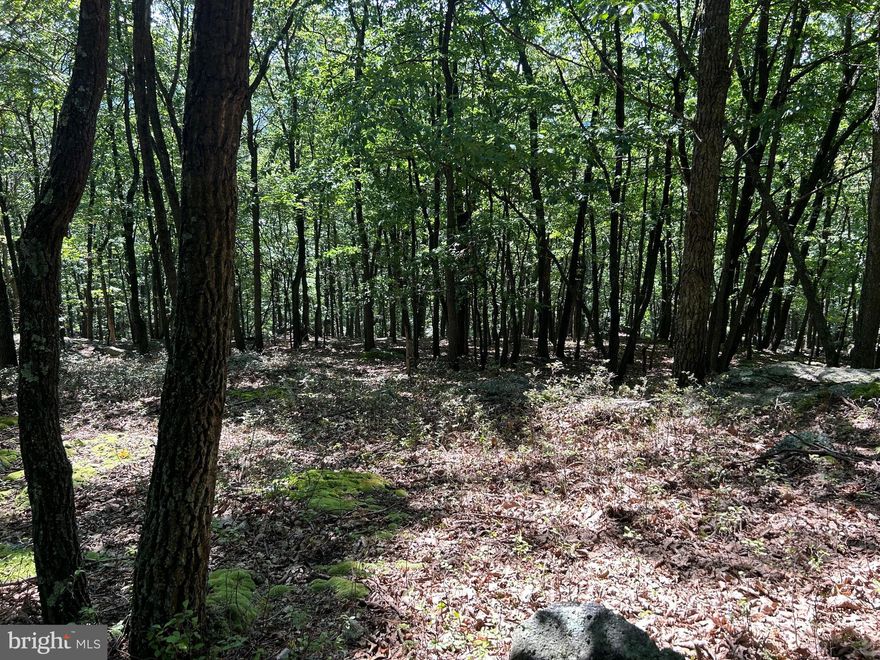 ** Seller is motivated.  Please present any offer. 
This is a beautiful, scenic , ridge lot available for sale. If you are looking for nature and a quiet place to call home, look no further. This .42-acre wooded building lot is the perfect property for just that. Build your vacation home, or your forever home here at Eagle Rock Resort. This destination is filled with so many amenities including a heated pool, Beach, picnic areas, pavilions, baseball area, tennis court, golf course,  fitness centers, equestrian center, spas and restaurants, and of course winter activities  such as skiing and snow tubing.     
Public water and sewer are available to tie into for the new build. Preferred builder is available with this lot, but not required. Contact Listing agent  today for more information.
** This is a gated community, appointments to see the lot need to be scheduled in advance.