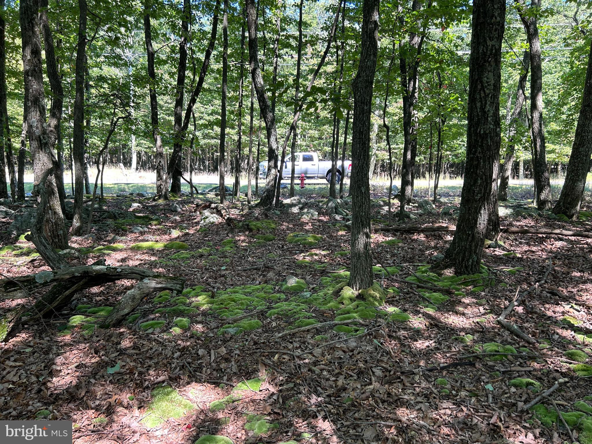 EAGLE ROCK RESORT - Land