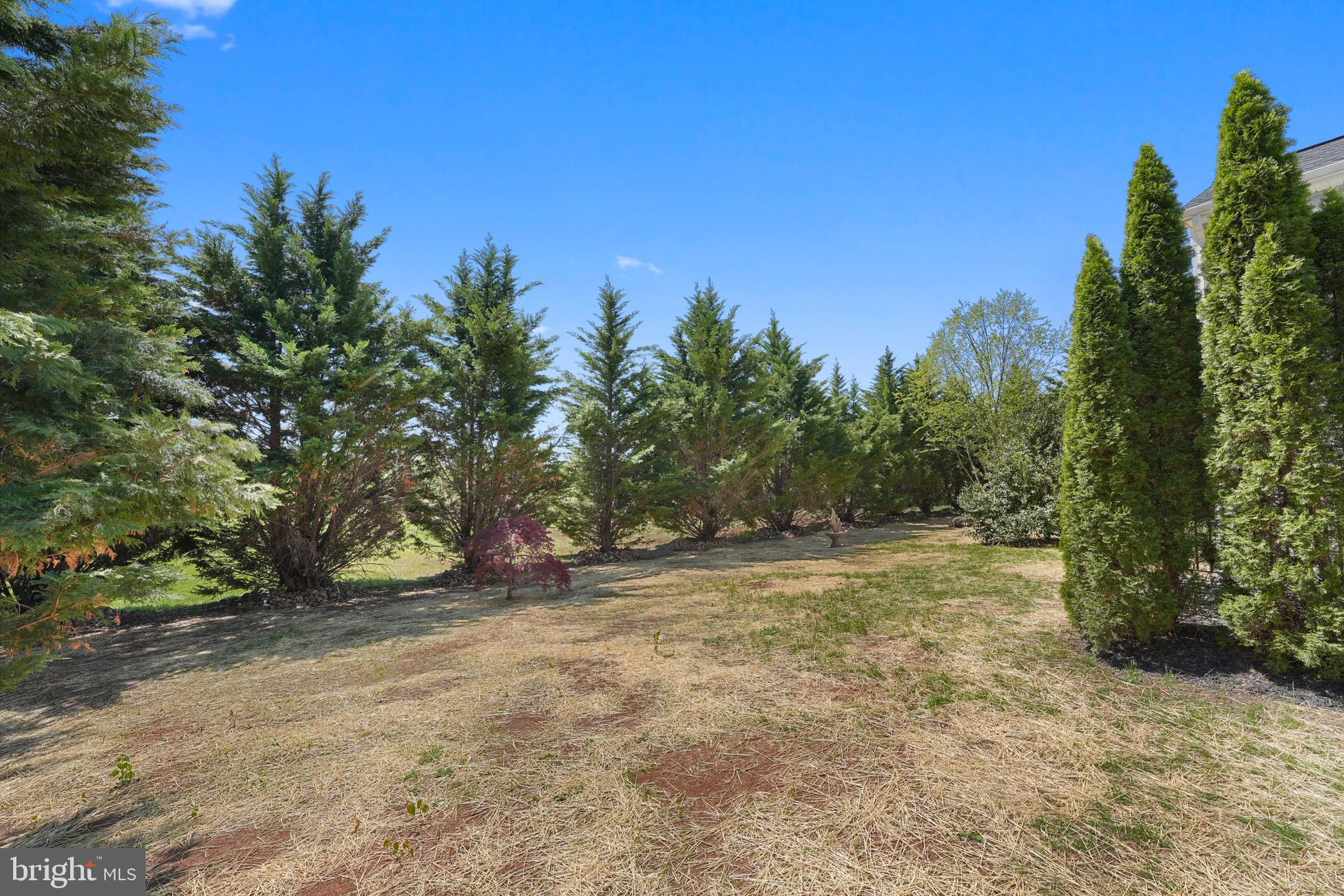 MAGNOLIA GREEN - Residential