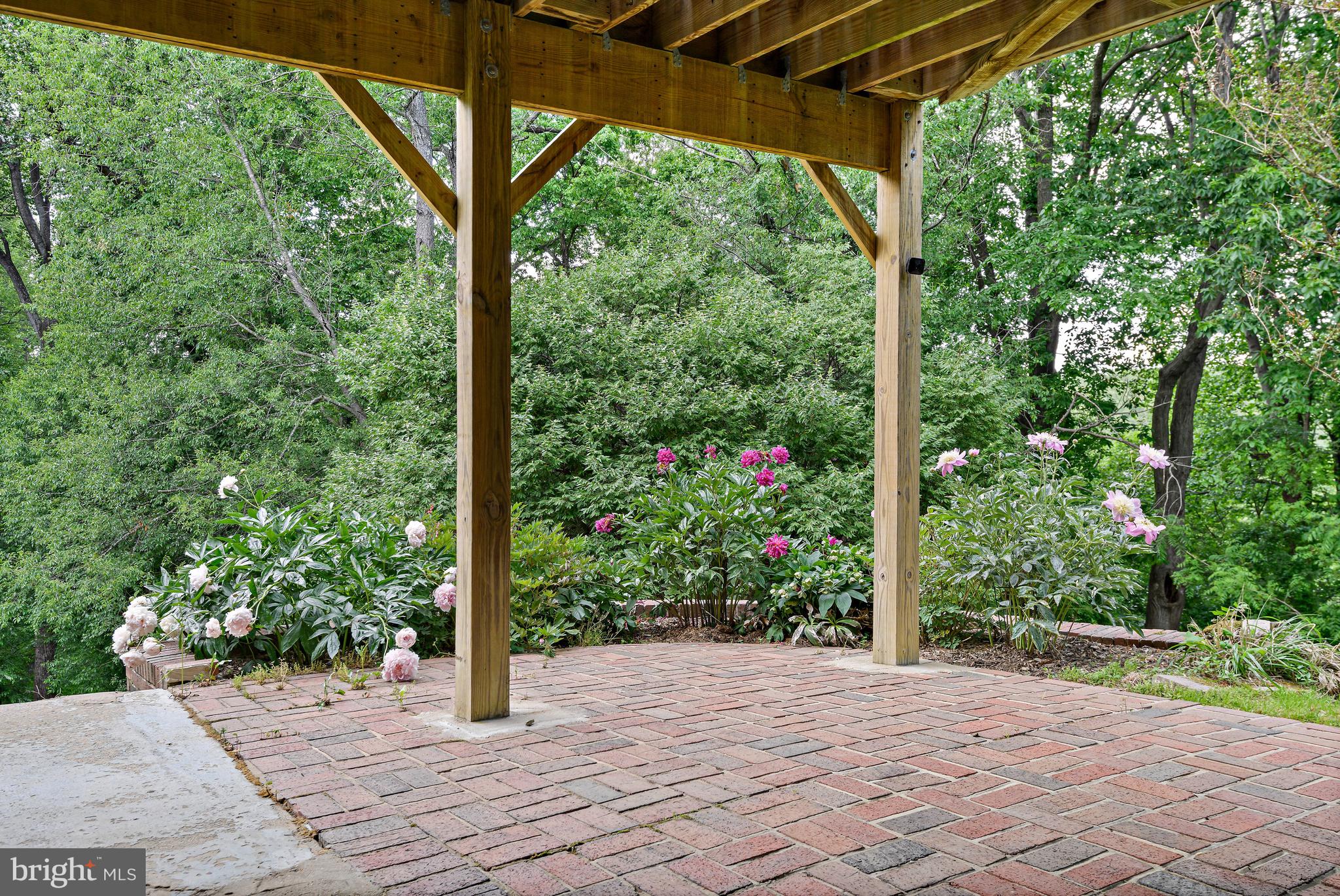 WOLFTRAP MEADOWS - Residential