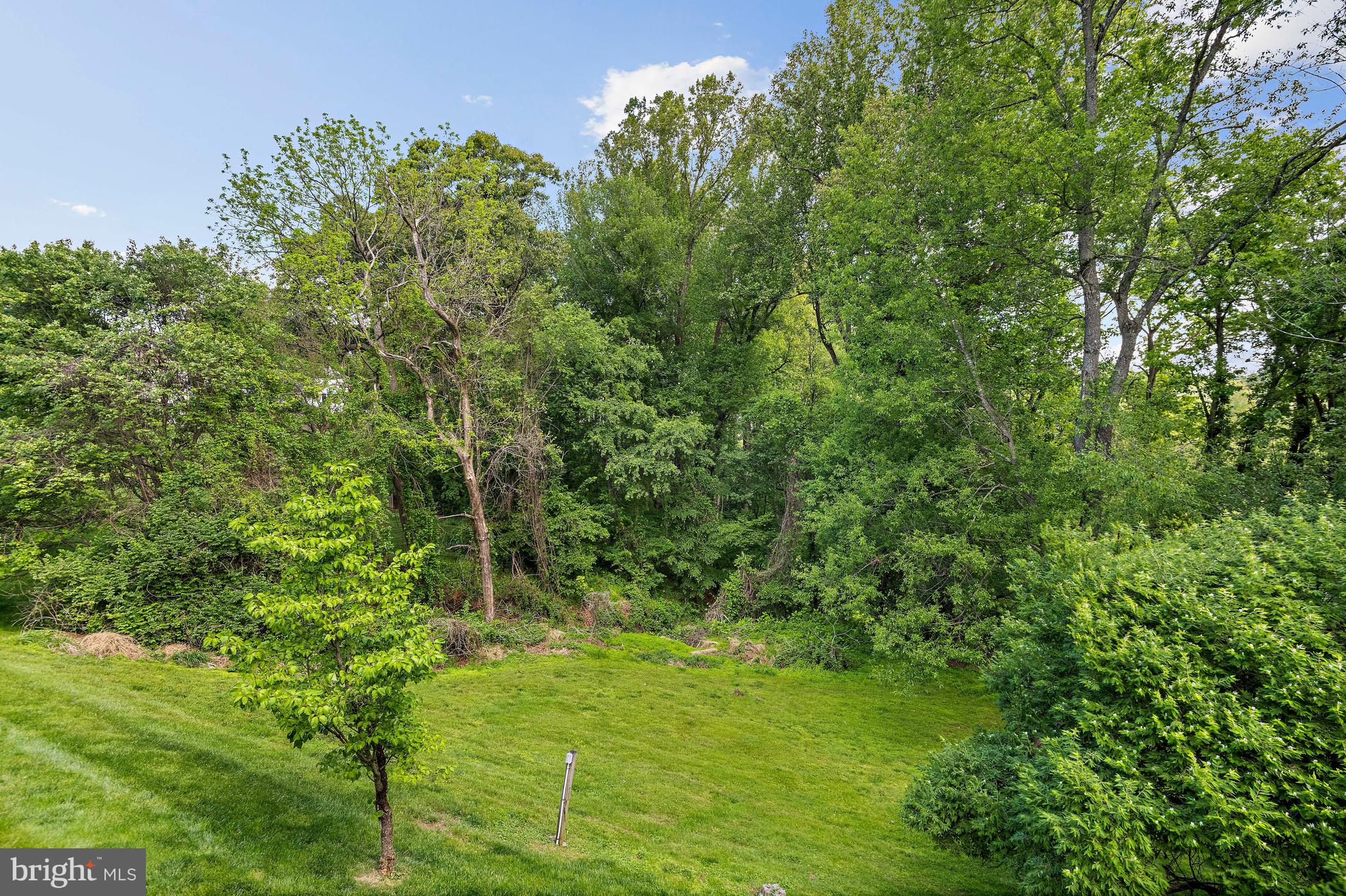 WOLFTRAP MEADOWS - Residential