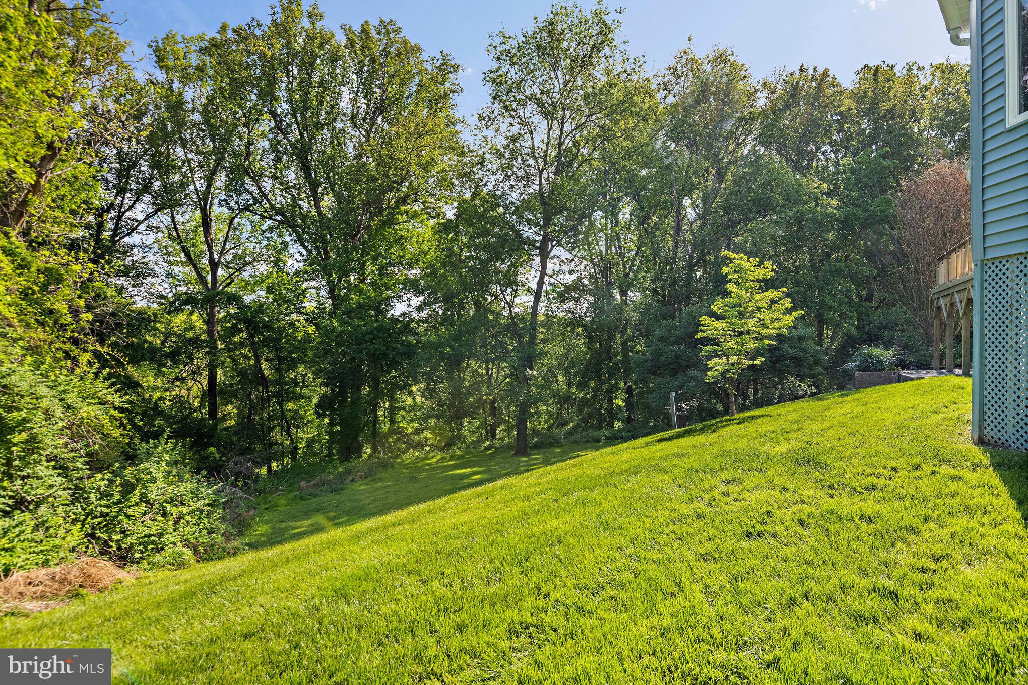 WOLFTRAP MEADOWS - Residential