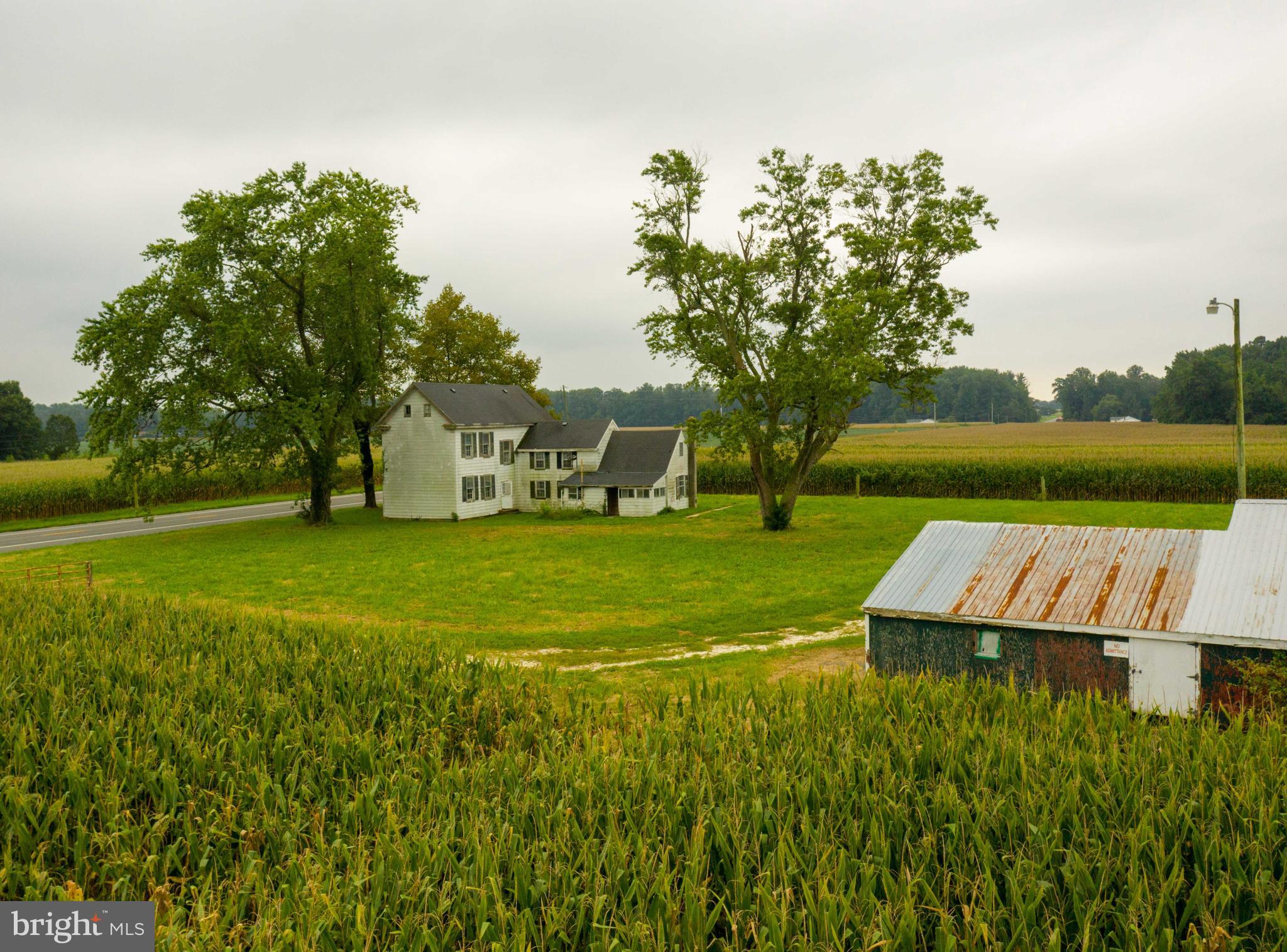 NONE AVAILABLE - Farm