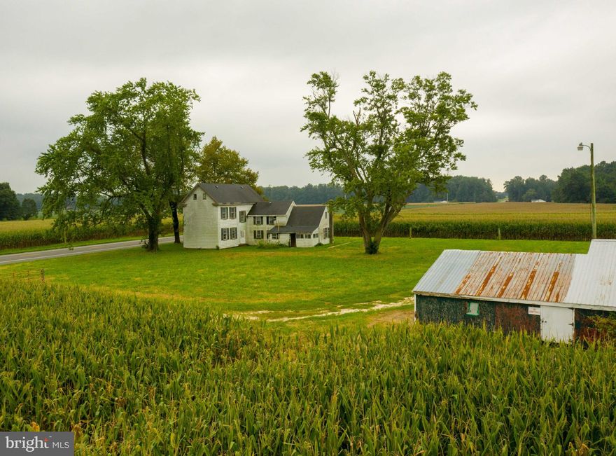 HERE'S YOUR OPPORTUNITY TO OWN YOUR OWN FARM!  GORGEOUS LOCATION NEAR DENTON, EASTON & RIDGELY AND CLOSE TO TUCKAHOE RIVER.  HOME MAY ABLE TO BE RENOVATED.  PERFECT FOR CROPS, TREE FARM, BED & BREAKFAST, SENIOR CENTER, OFFICE SPACE, RETAIL, KENNEL AND MORE!