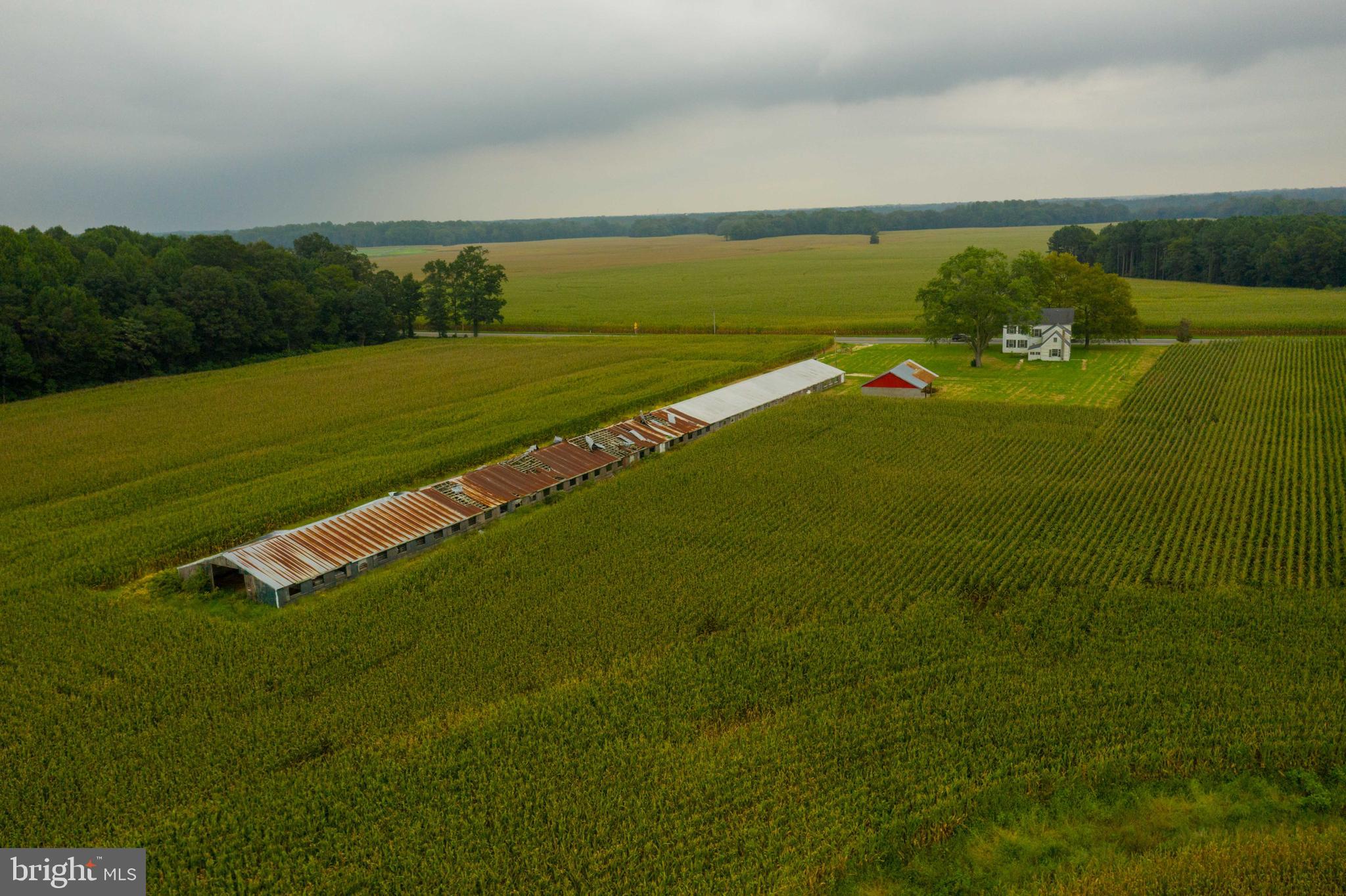 NONE AVAILABLE - Farm