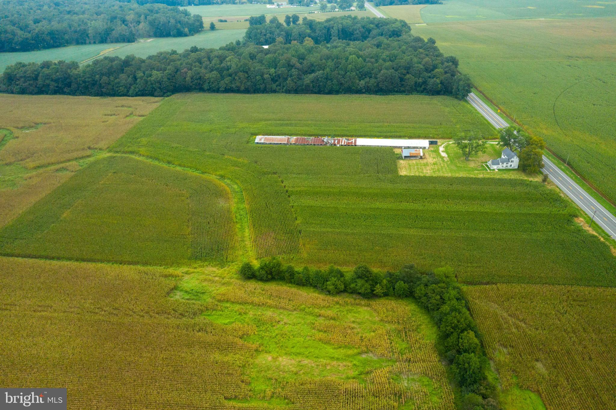 NONE AVAILABLE - Farm