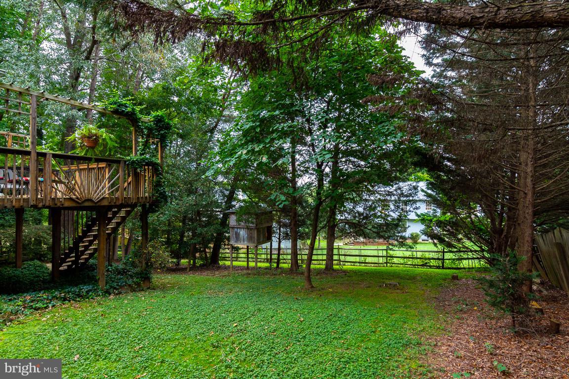 SMOKETREE - Residential