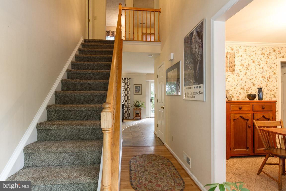 SMOKETREE - Residential