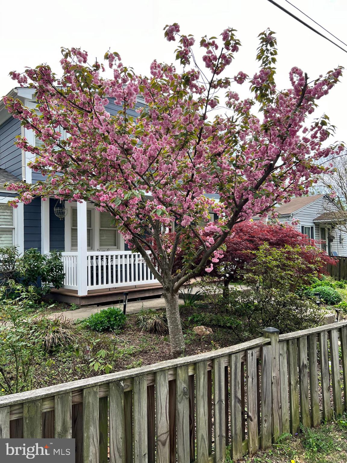 CABIN JOHN GARDENS - Residential