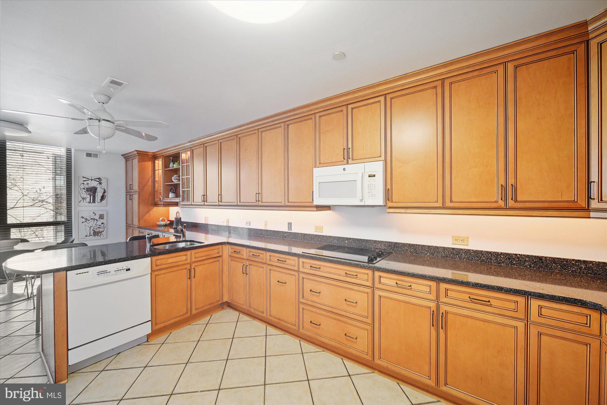 PAVILION IN THE PARK - Residential