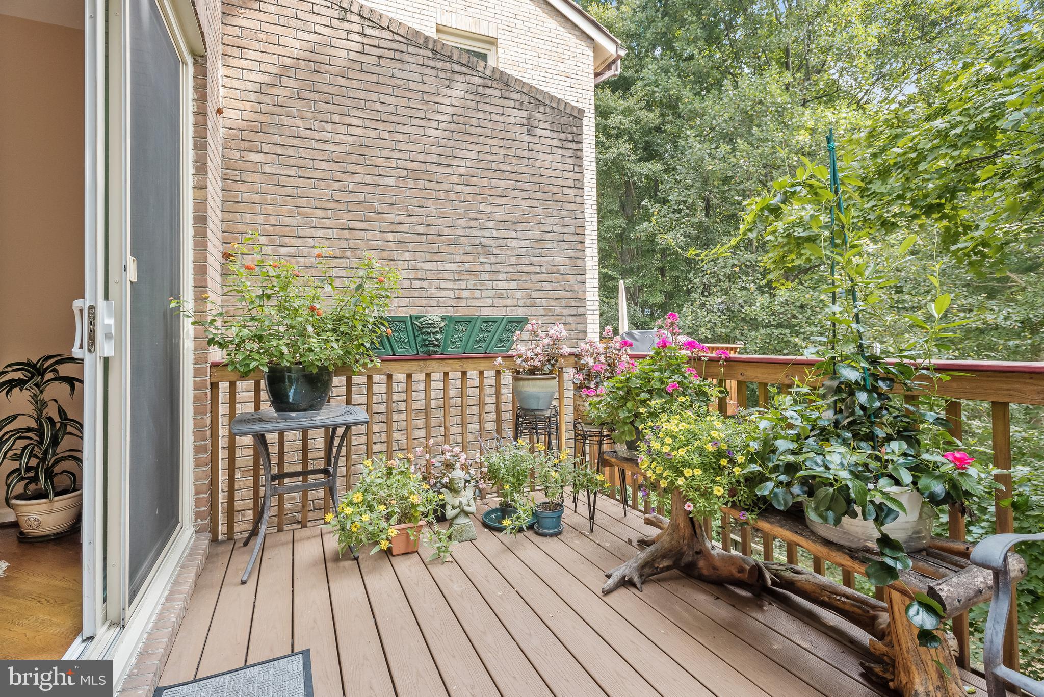 MASS AVE FOREST - Residential