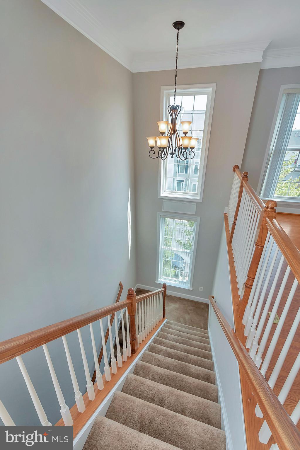 POTOMAC CLUB - Residential