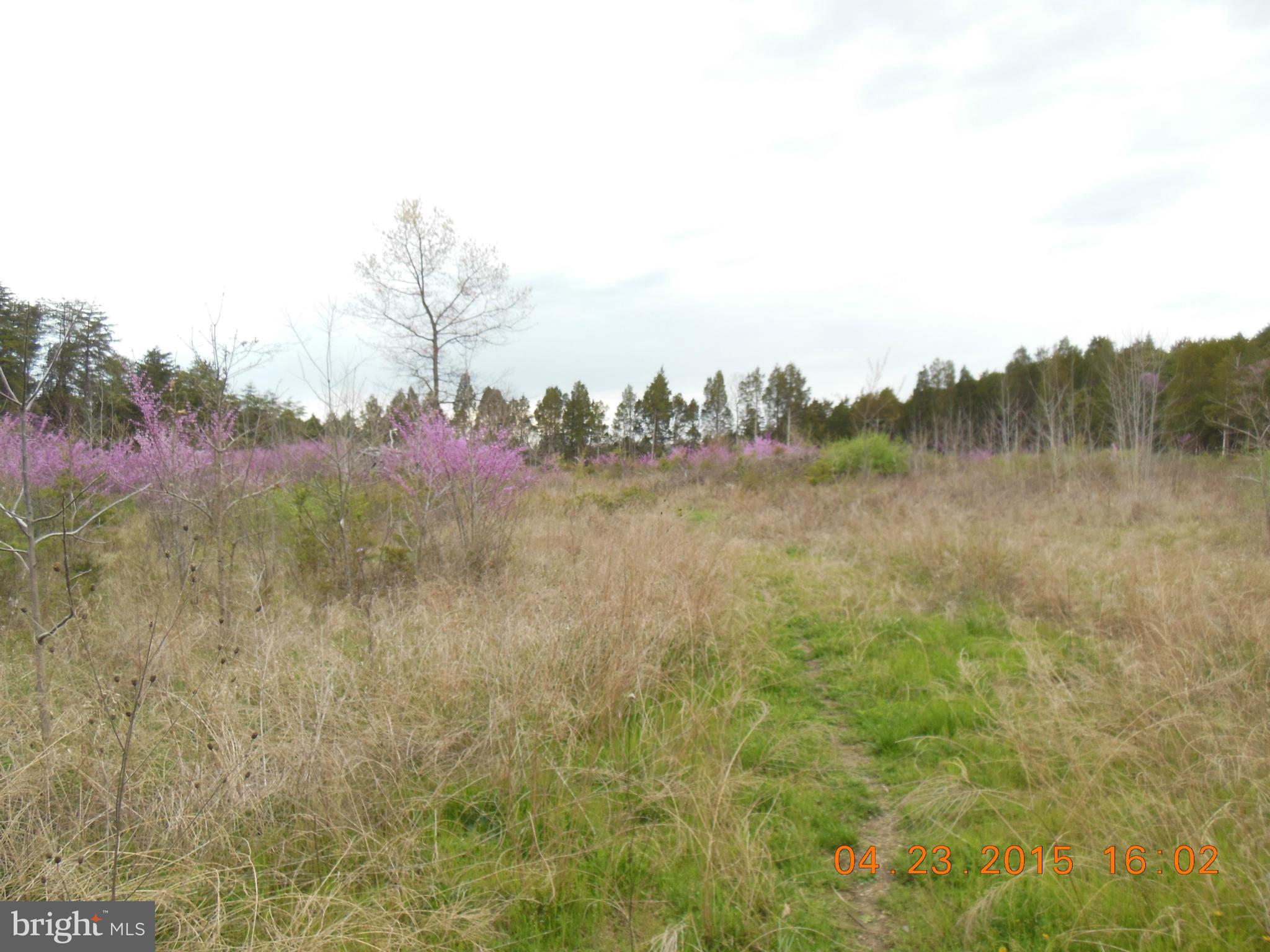 NONE AVAILABLE - Land