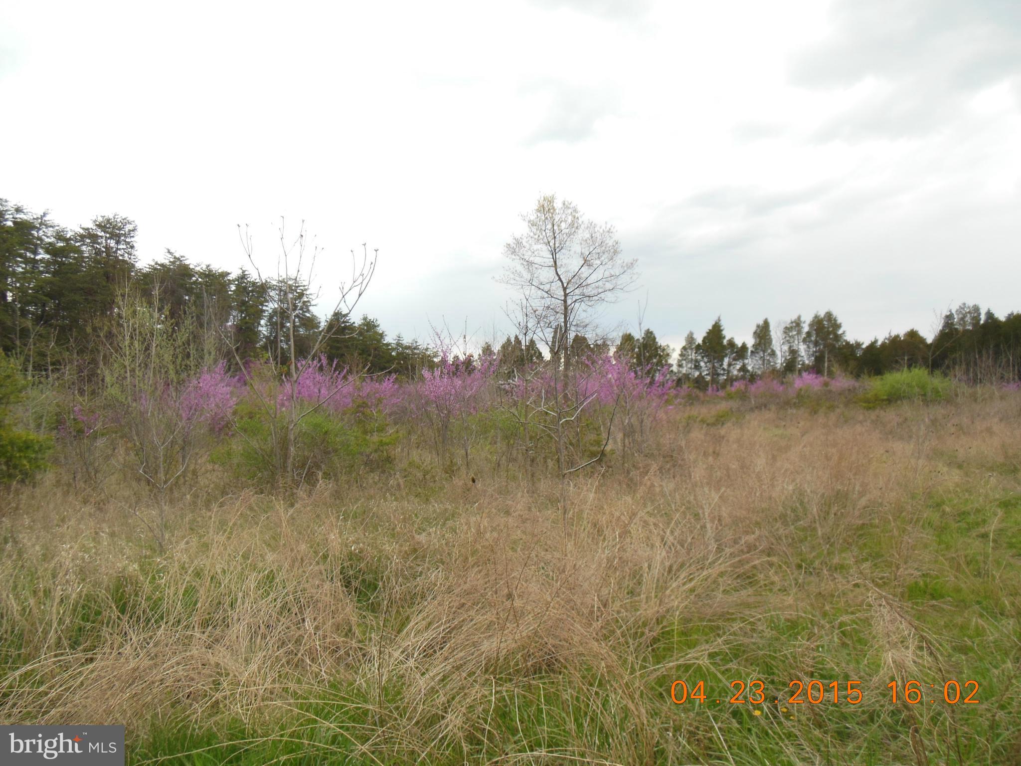 NONE AVAILABLE - Land