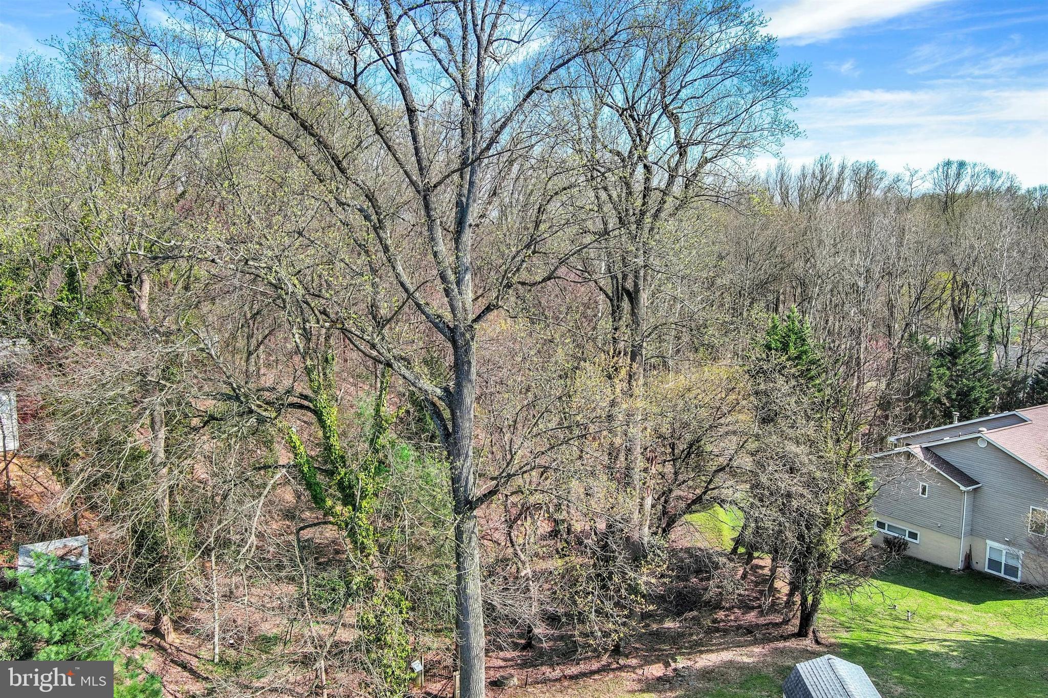 CUB HILL/CARNEY - Residential