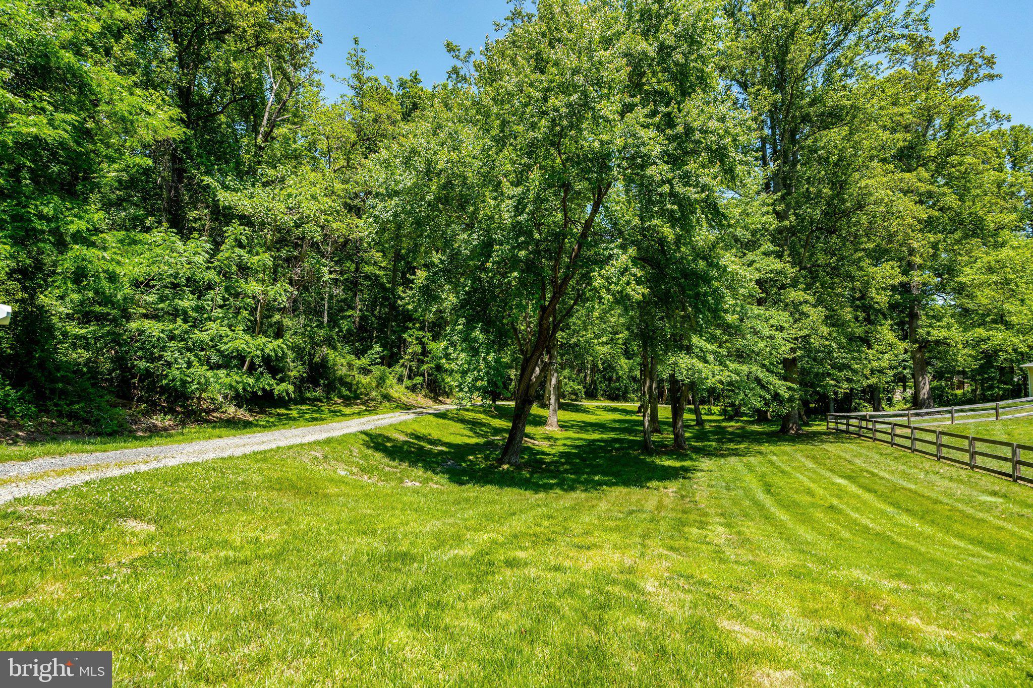MORGAN'S BLUFF - Residential