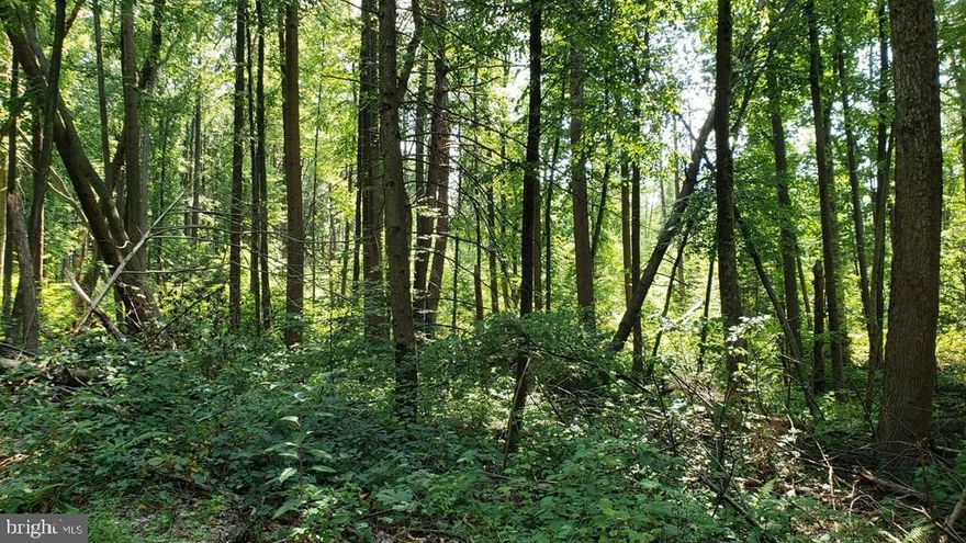 Great location!  1.33 acre sloped rural wooded lot with access to electric along Crabapple Lane. Small mountain stream runs through the lot. Put on your boots and come take a look!
