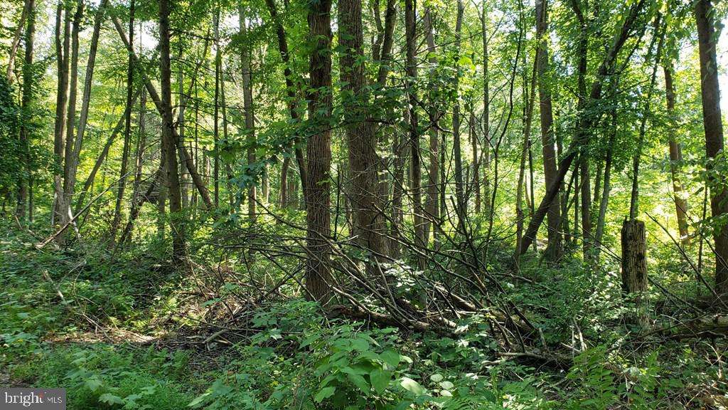 NONE AVAILABLE - Land