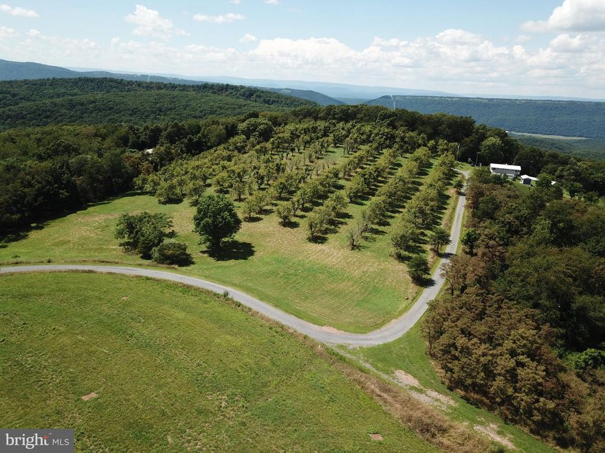 What long-standing sustainable dreams are truly made of. Offering 6.17 acres of pure West Virginia gold, comprised of some of the sweetest features - rolling topography, long range mountain views and a small grove of mature peach trees. Conveniently located on the outskirts of the friendly town of Romney, WV in the heart of Hampshire County, affording convenient access to the South Branch of The Potomac River and thousands of acres of public hunting. Easily accessible via a well-maintained gravel road, this property provides the best of both worlds! Enjoy the beautiful mountain views to the west and the rolling farms to the east. Get started enjoying the laid back West Virginia mountain lifestyle you have been craving. It’s easy, just a mere 2 hours from almost any location in the vicinity of Washington DC.