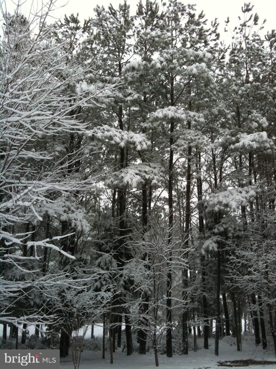 LANDINGS AT PINEY POINT - Residential
