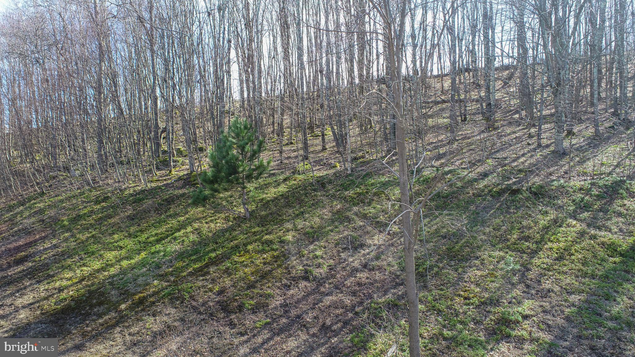 SWEET REWARDS FARM - Land