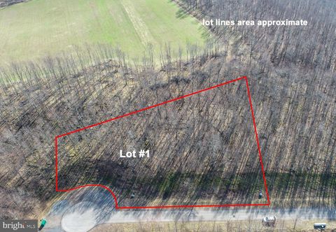 Vacant Land For Sale - 1 Sweet Rewards Farm Road<br/> MC HENRY, MD 21541