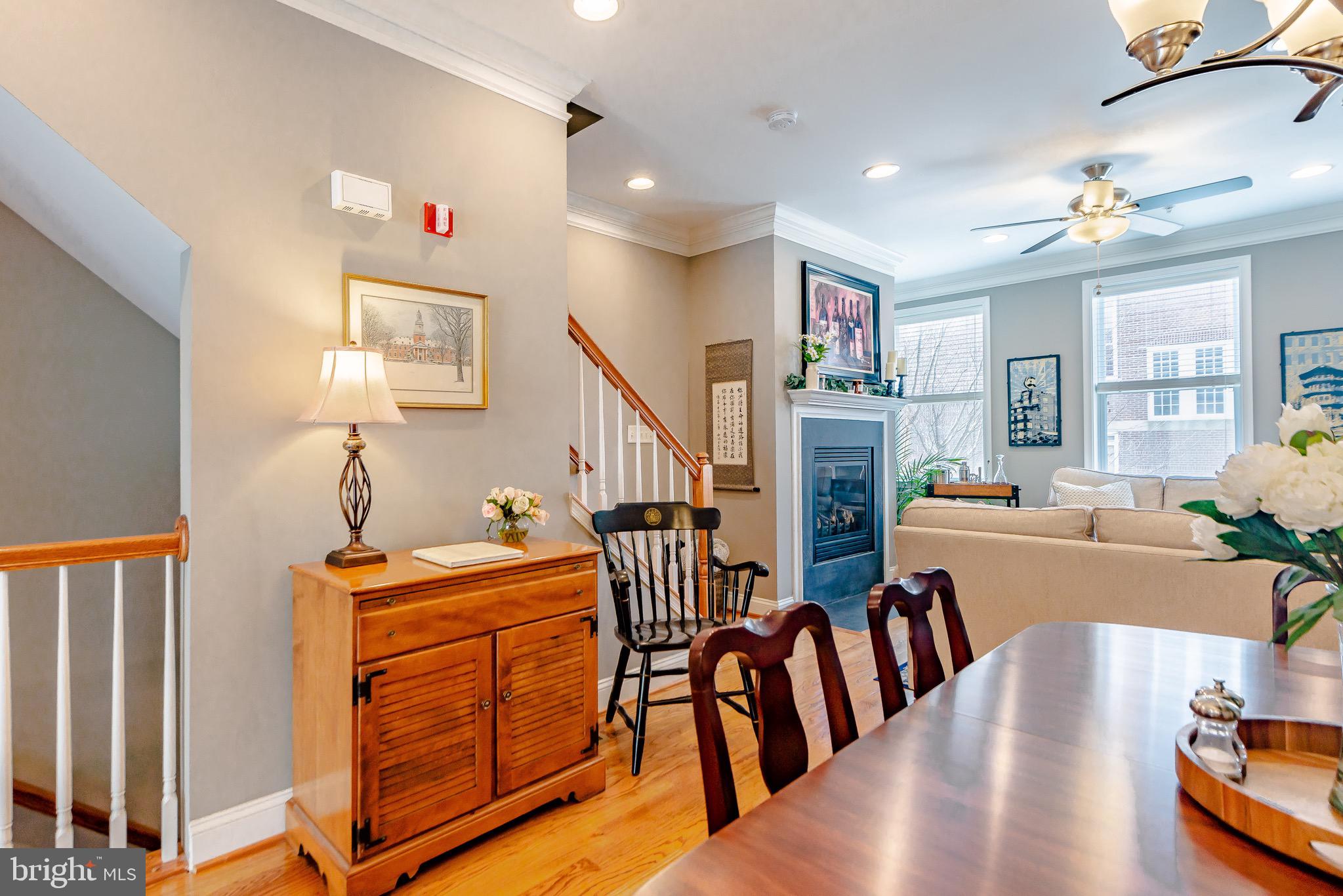 BUTCHER'S HILL - Residential