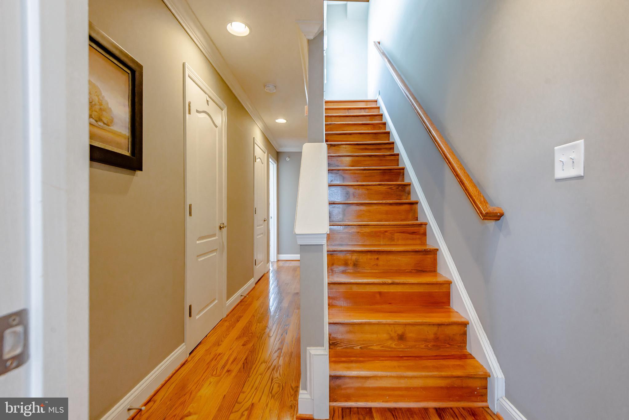 BUTCHER'S HILL - Residential