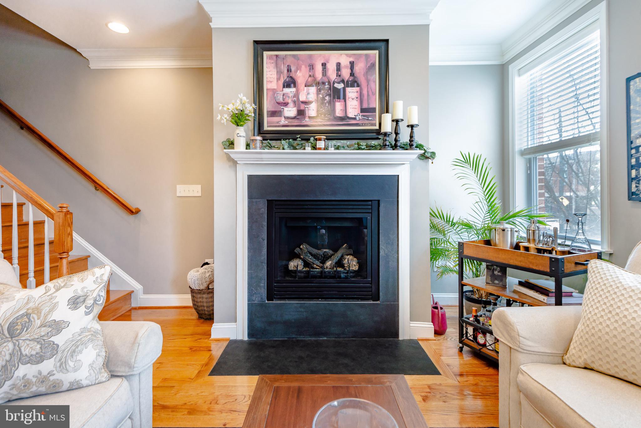 BUTCHER'S HILL - Residential