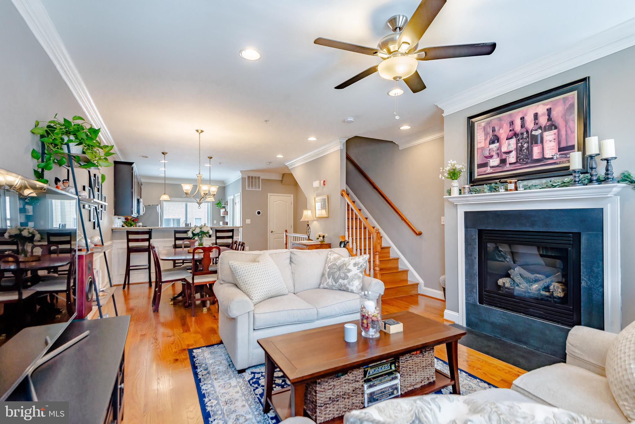 BUTCHER'S HILL - Residential