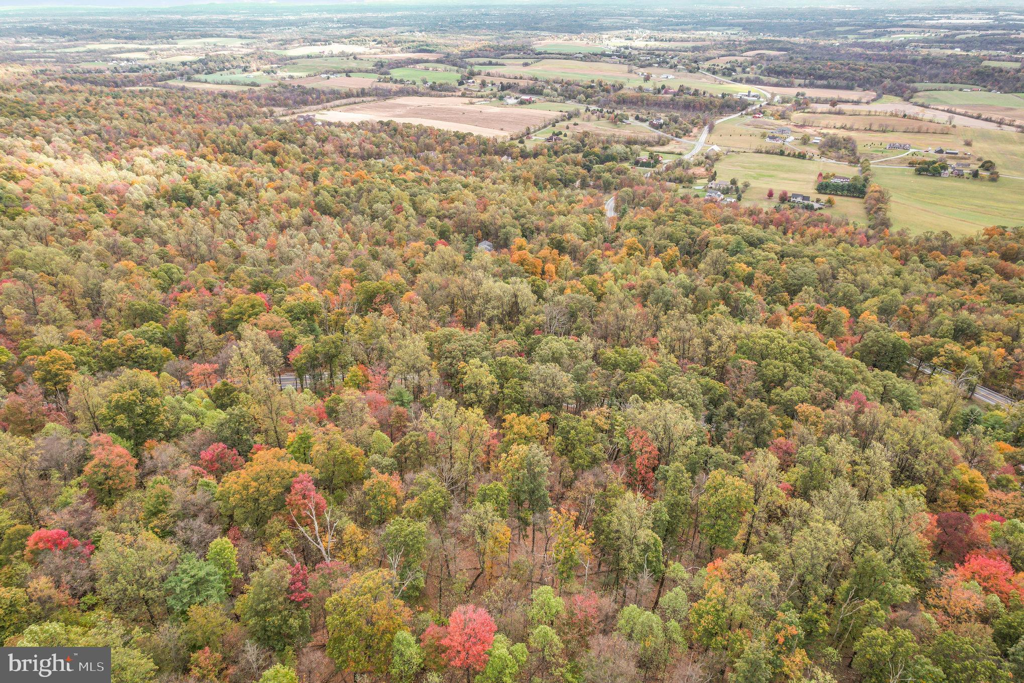 WAGGONERS GAP ROAD