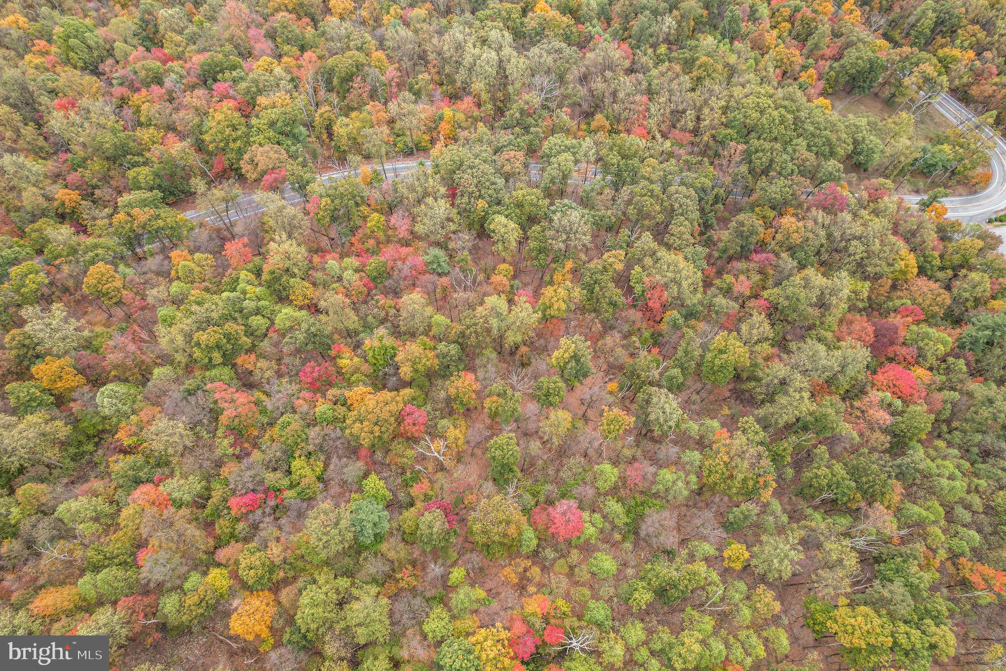WAGGONERS GAP ROAD